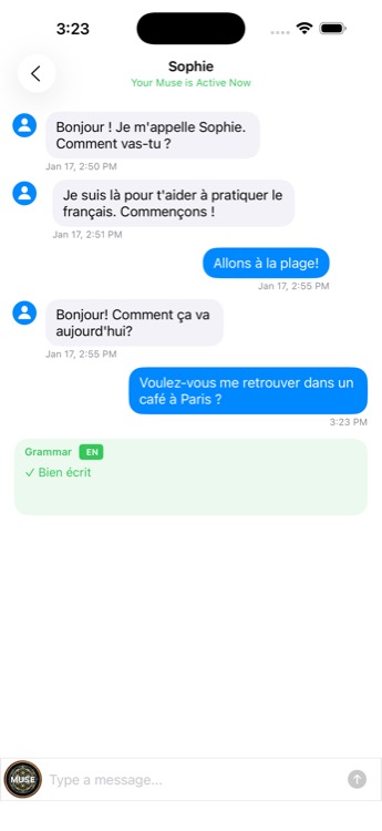 Grammar check showing analysis of French message
